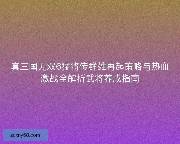 真三国无双6猛将传群雄再起策略与热血激战全解析武将养成指南