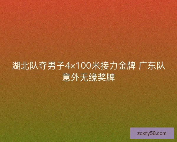 湖北队夺男子4×100米接力金牌 广东队意外无缘奖牌